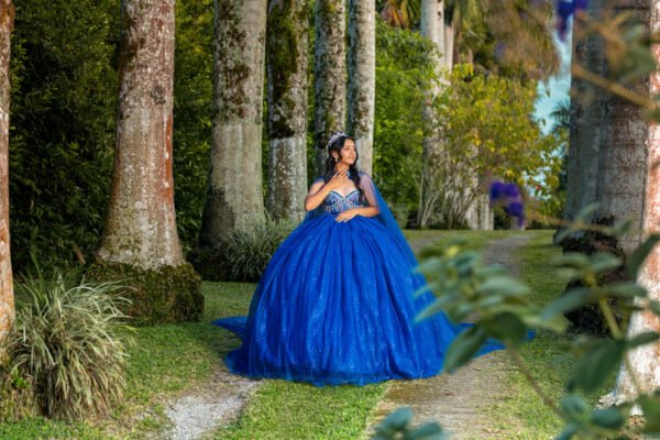 Vestido de Quinceañera Azul Real con Pedrería y Tul